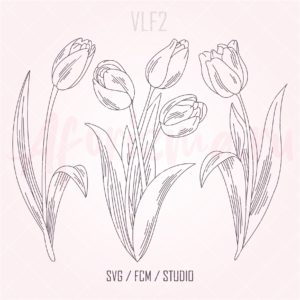 (VLF2) тюльпаны