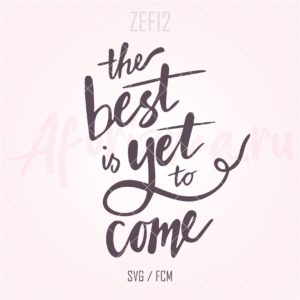 (ZEF12) the best