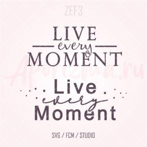 (ZEF3) live every moment
