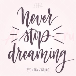 (ZEF4) never stop dreaming